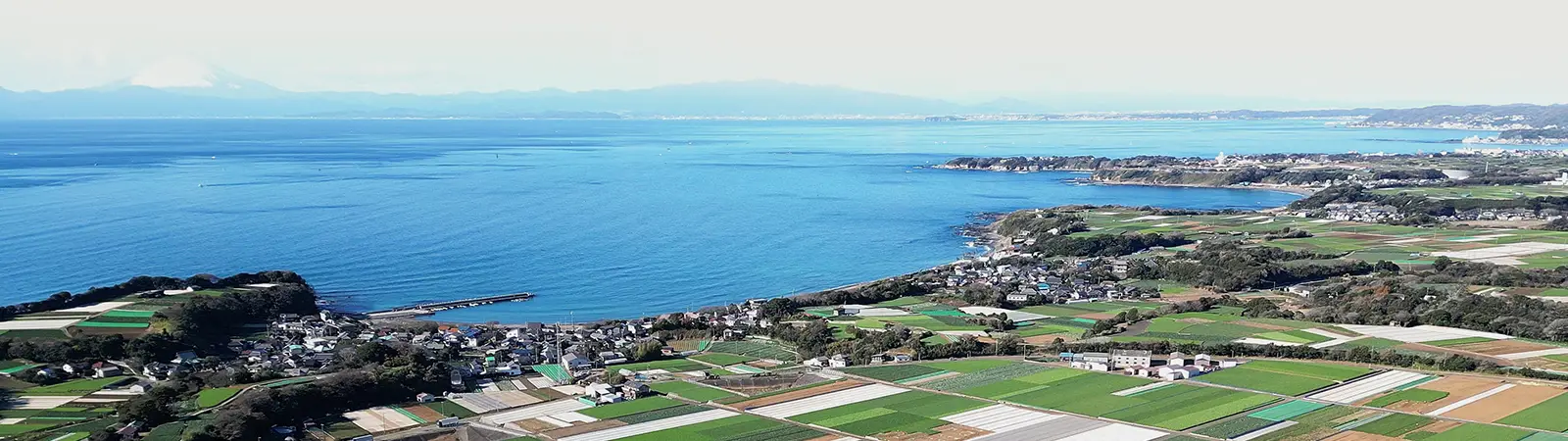 三浦半島空撮イメージ