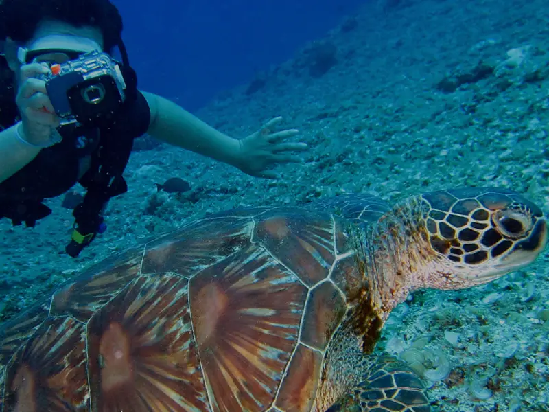 城ヶ島ダイビングセンター