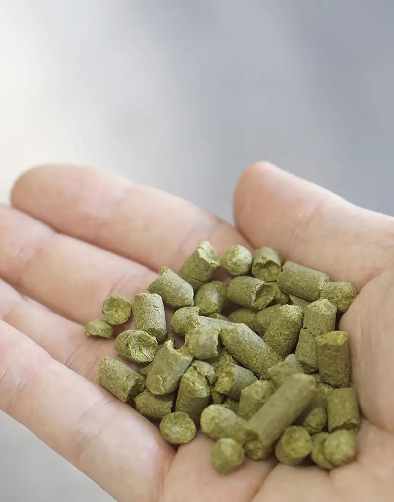 アイキャッチイメージ